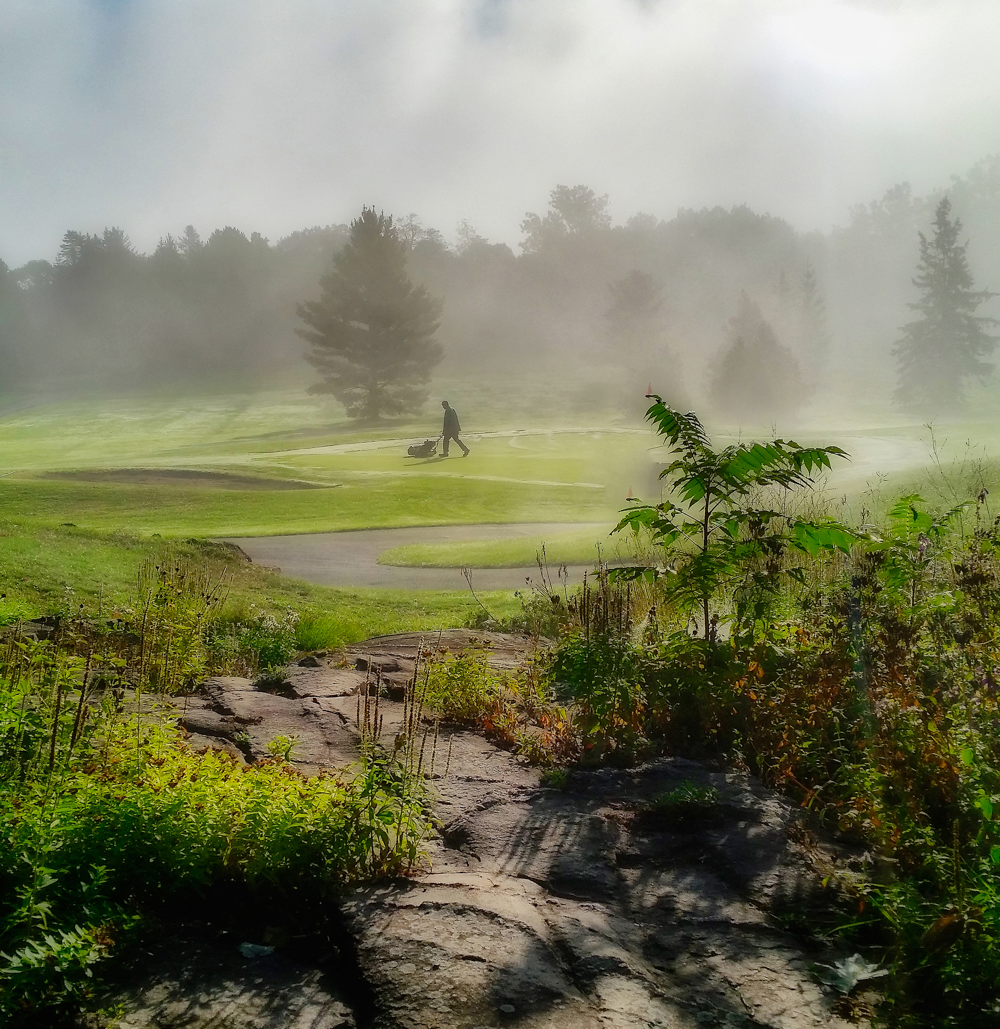 Larrimac Golf Early Morning